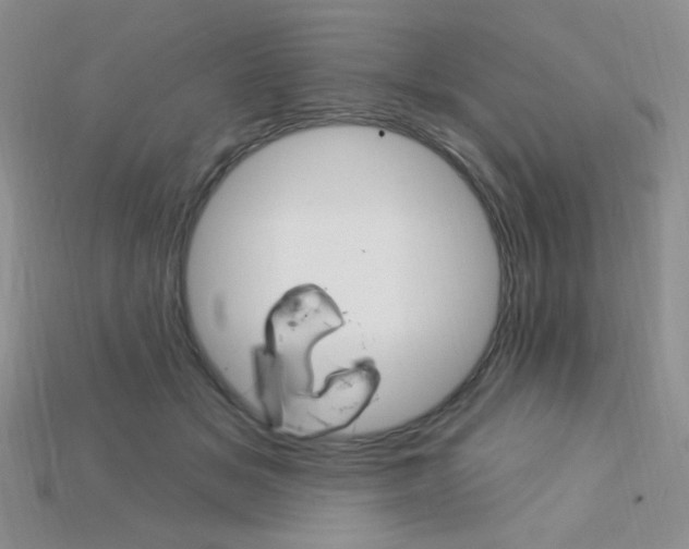 X0000115220509200911121927