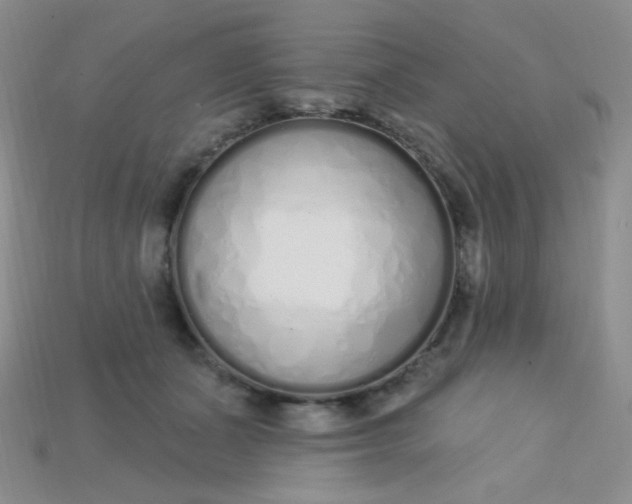 X0000115220511200911121927