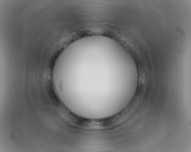 X0000115220518200911121927
