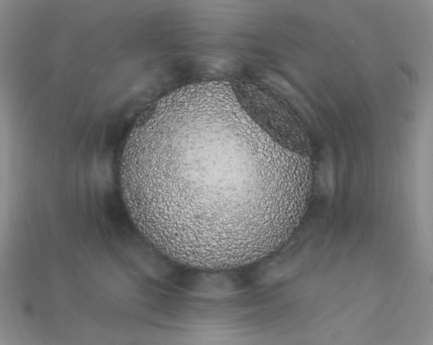 X0000115220520200911121927