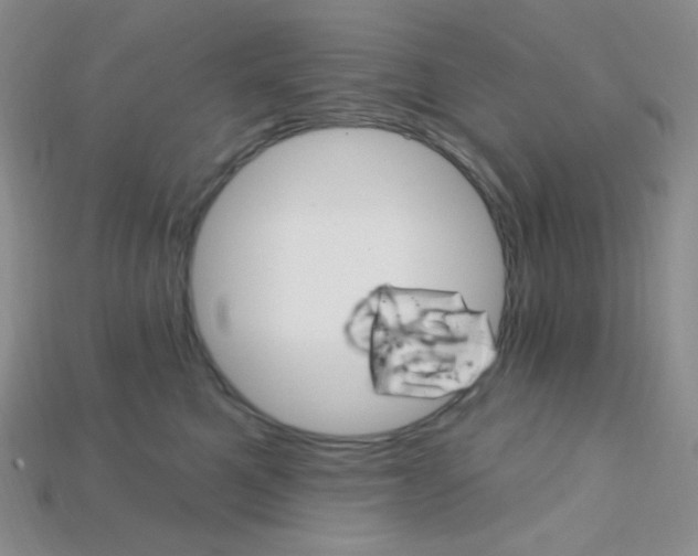 X0000115220521200911121927