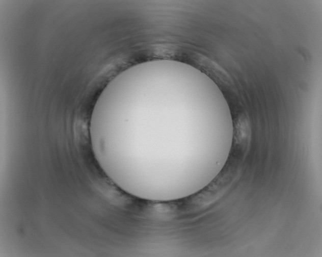 X0000115220522200911121927