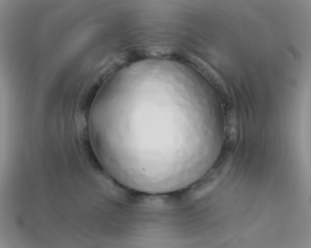 X0000115220523200911121927