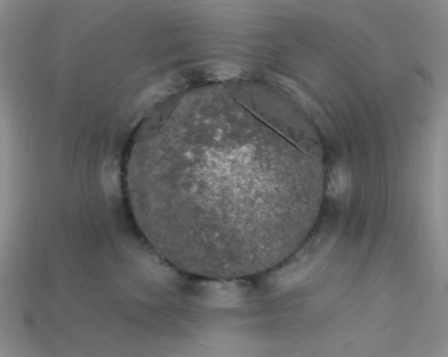 X0000115220524200911121927