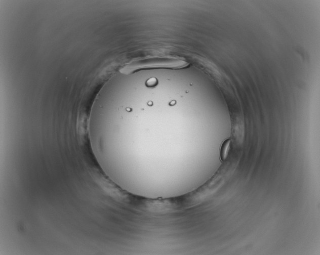 X0000115220525200911121927