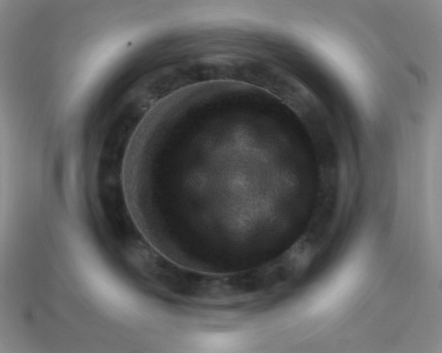 X0000115220526200911121927