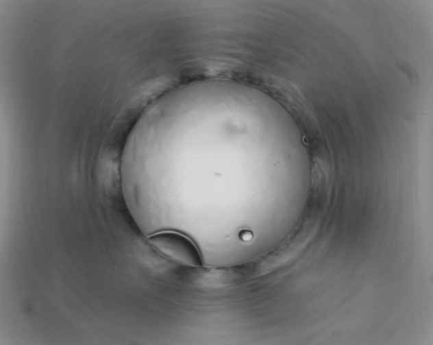X0000115220527200911121927