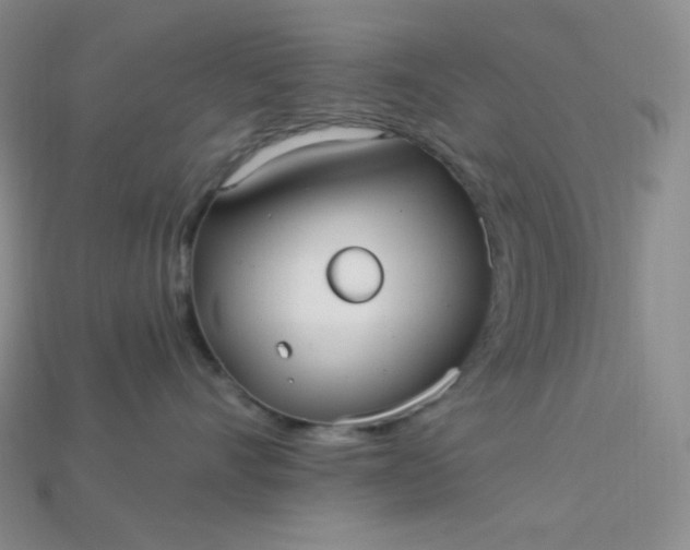 X0000115220528200911121927