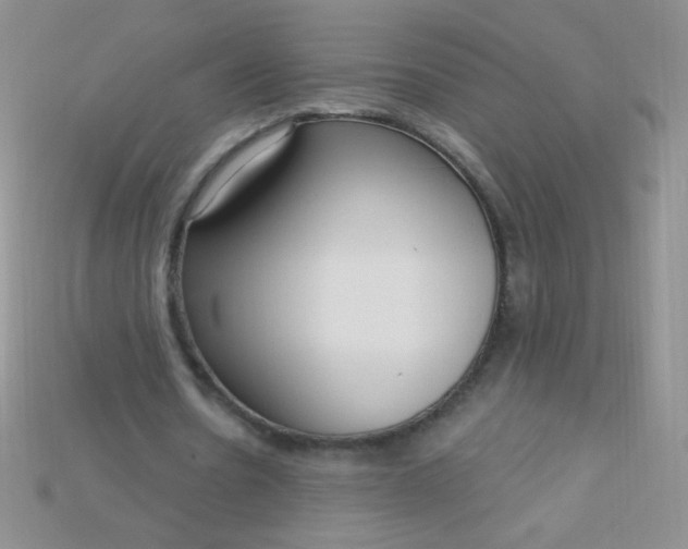 X0000115220530200911121926