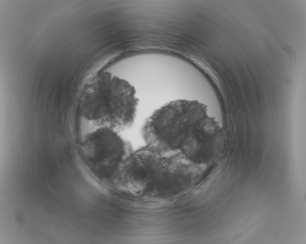X0000115220533200911121926