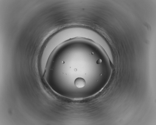 X0000115220534200911121926