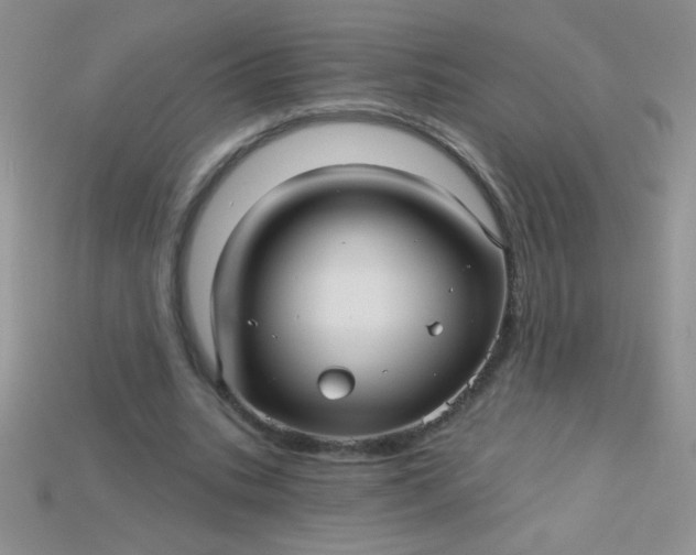 X0000115220535200911121926