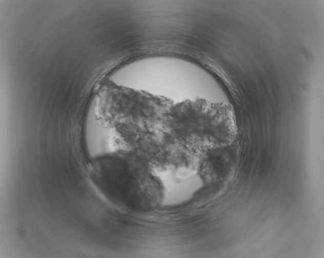 X0000115220537200911121926