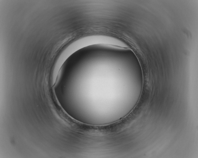 X0000115220538200911121926