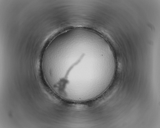 X0000115220539200911121926