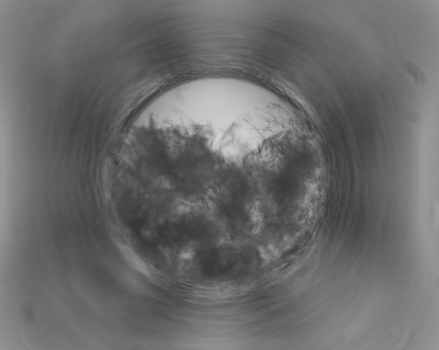 X0000115220541200911121926