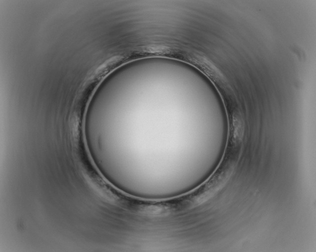 X0000115220542200911121926