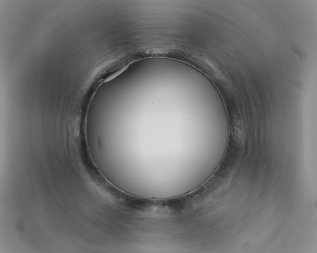 X0000115220543200911121926