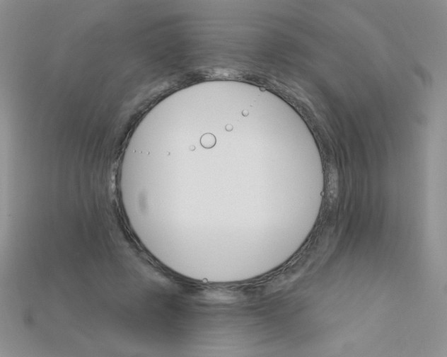 X0000115220545200911121926