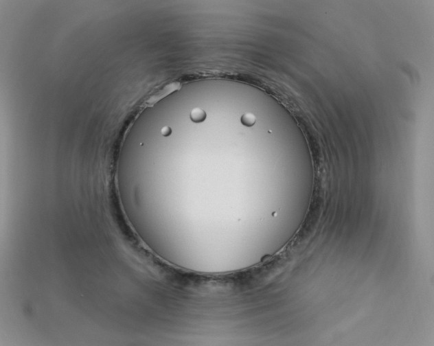 X0000115220546200911121926