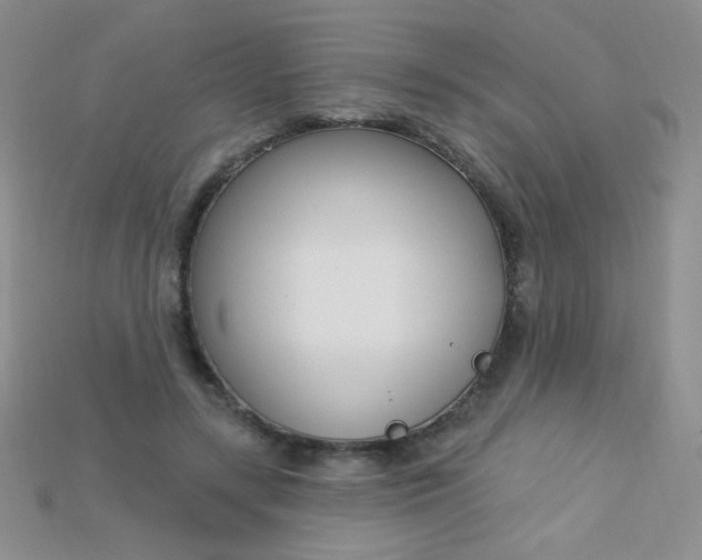 X0000115220547200911121926