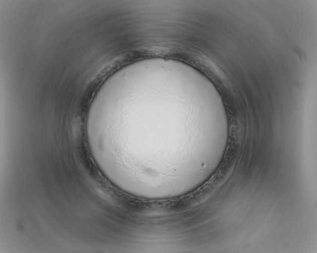 X0000115220549200911121927
