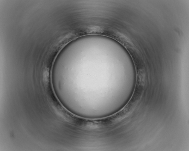 X0000115220550200911121927