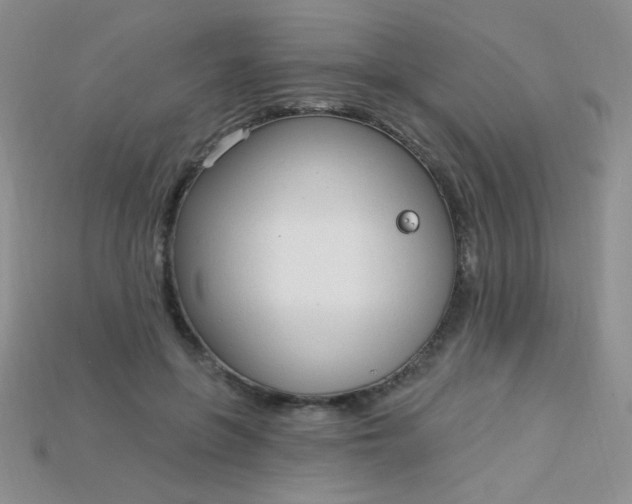 X0000115220551200911121927