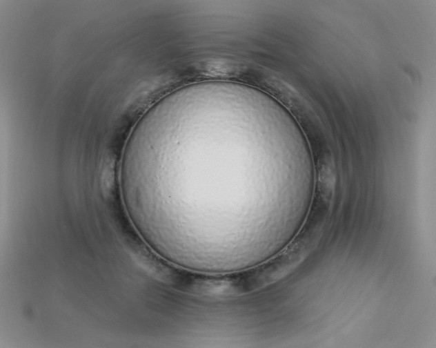 X0000115220554200911121927