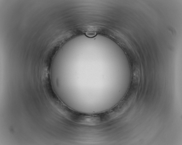 X0000115220555200911121927