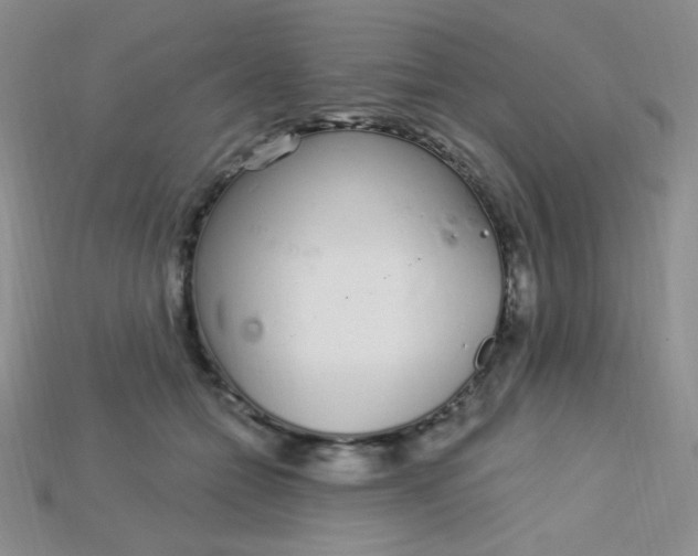 X0000115220558200911121927