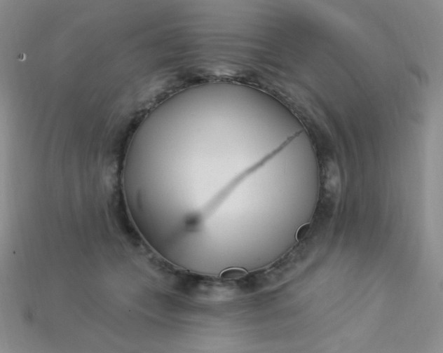 X0000115220559200911121927