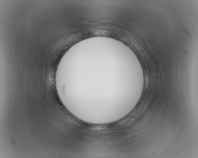 X0000115220561200911121927