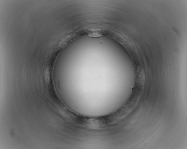 X0000115220562200911121927