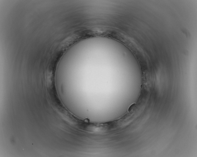 X0000115220563200911121927