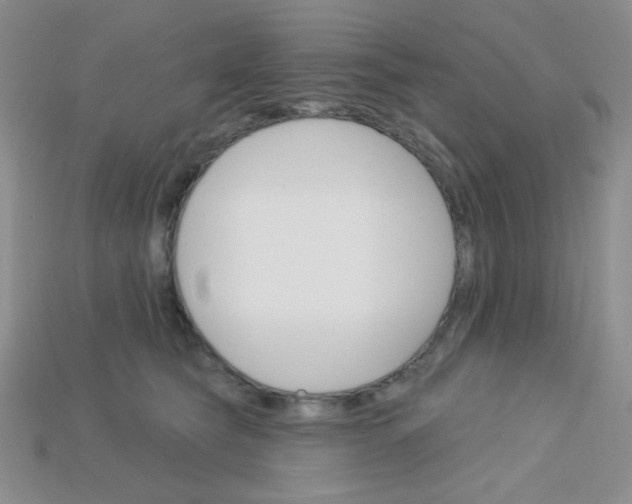 X0000115220565200911121927