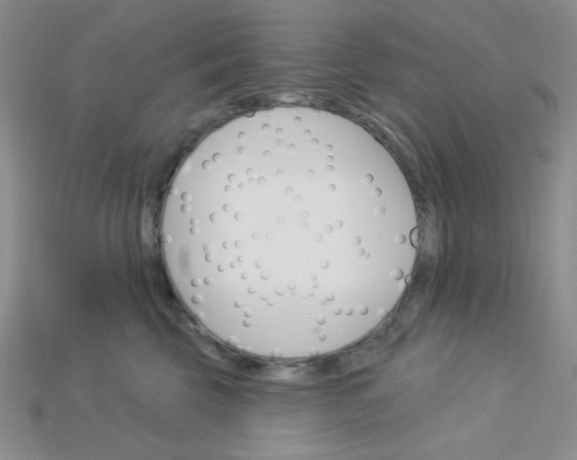 X0000115220569200911121927