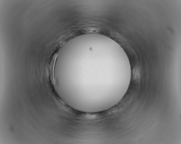 X0000115220570200911121927