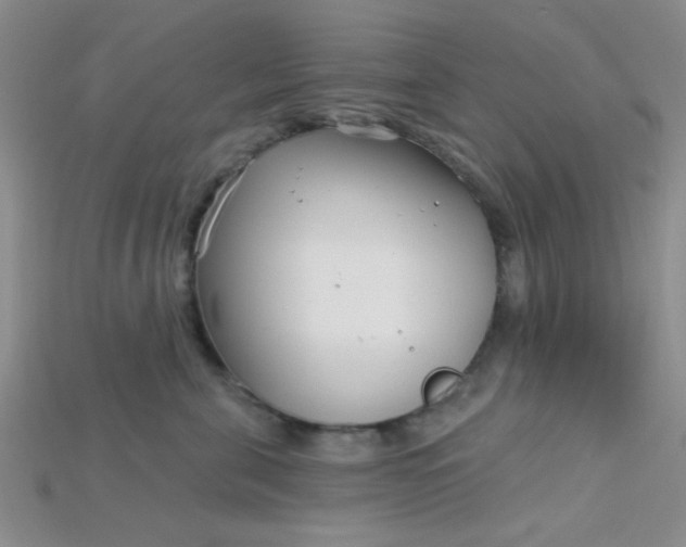 X0000115220571200911121927