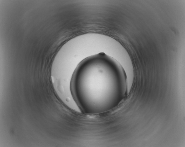 X0000115220573200911121927