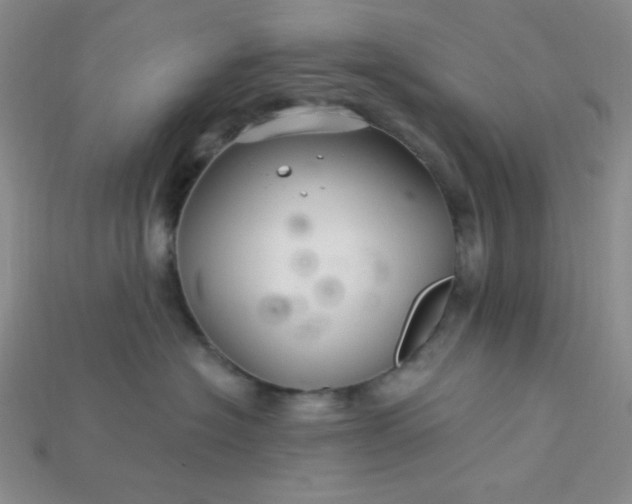 X0000115220574200911121927
