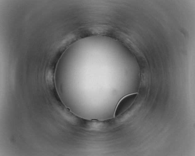 X0000115220575200911121927