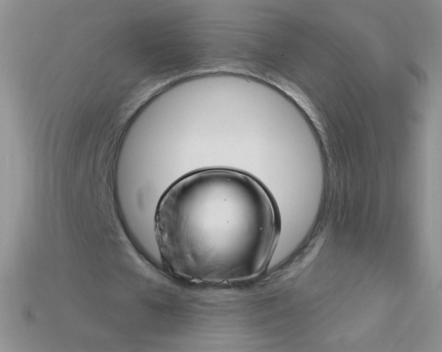 X0000115220577200911121926