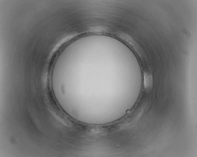 X0000115220579200911121926