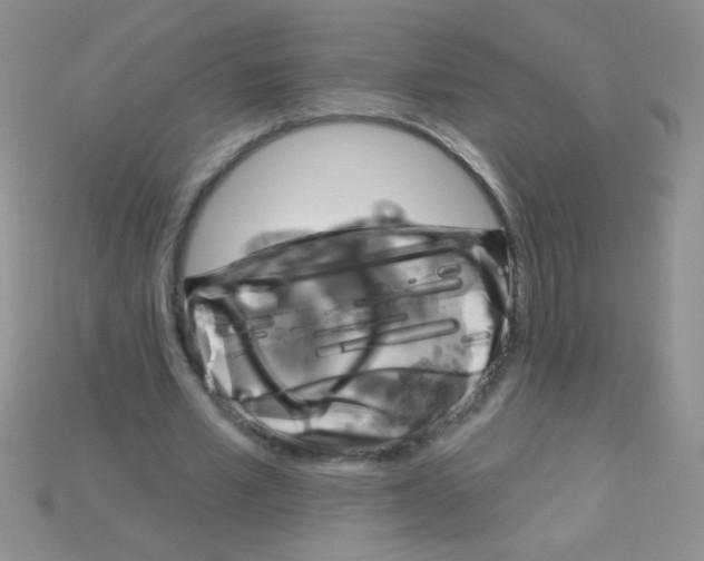 X0000115220581200911121926