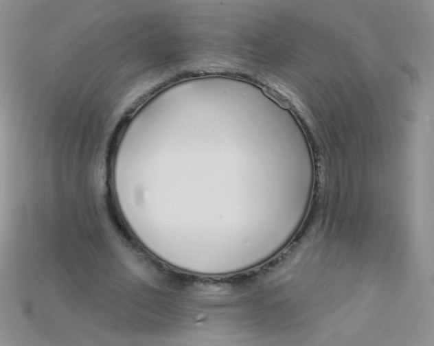 X0000115220582200911121926