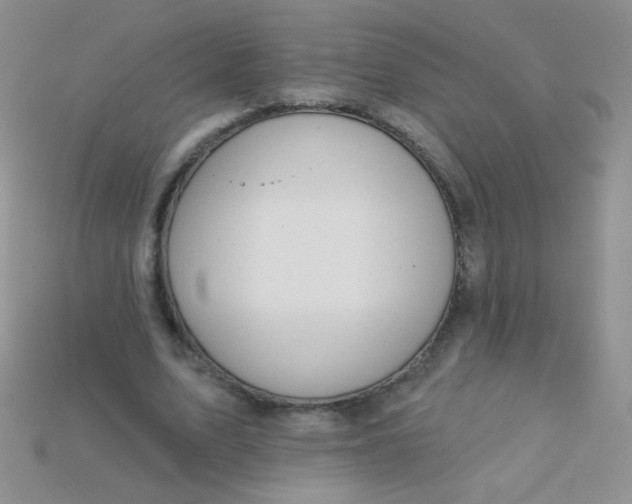 X0000115220583200911121926