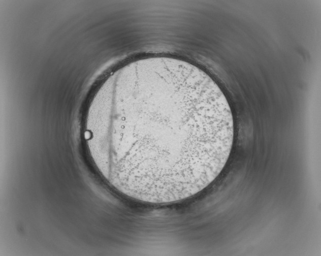 X0000115220584200911121926