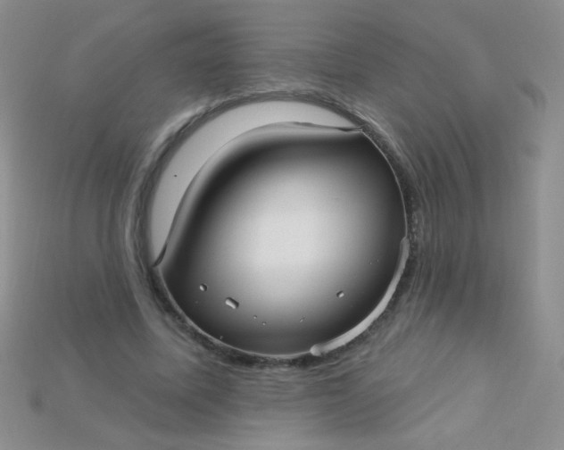 X0000115220587200911121926
