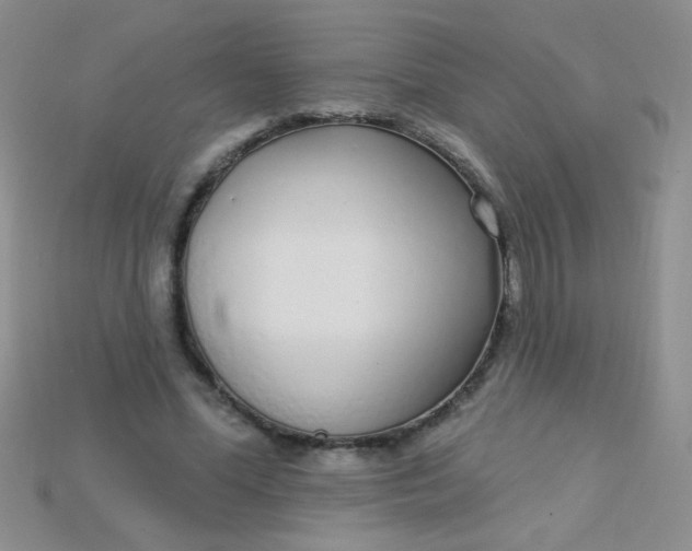 X0000115220588200911121926